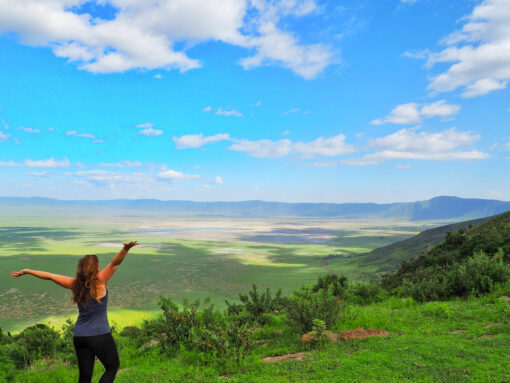 How To Find A Serengeti Ngorongoro Crater Safari To Suit Your Budget