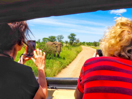 How To Find A Serengeti Ngorongoro Crater Safari To Suit Your Budget