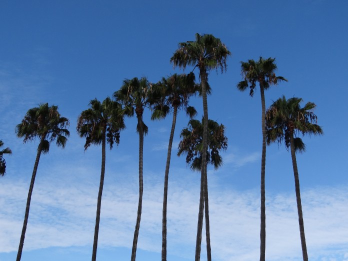 My California Road Trip Itinerary: San Diego, LA & the Pacific Coast ...