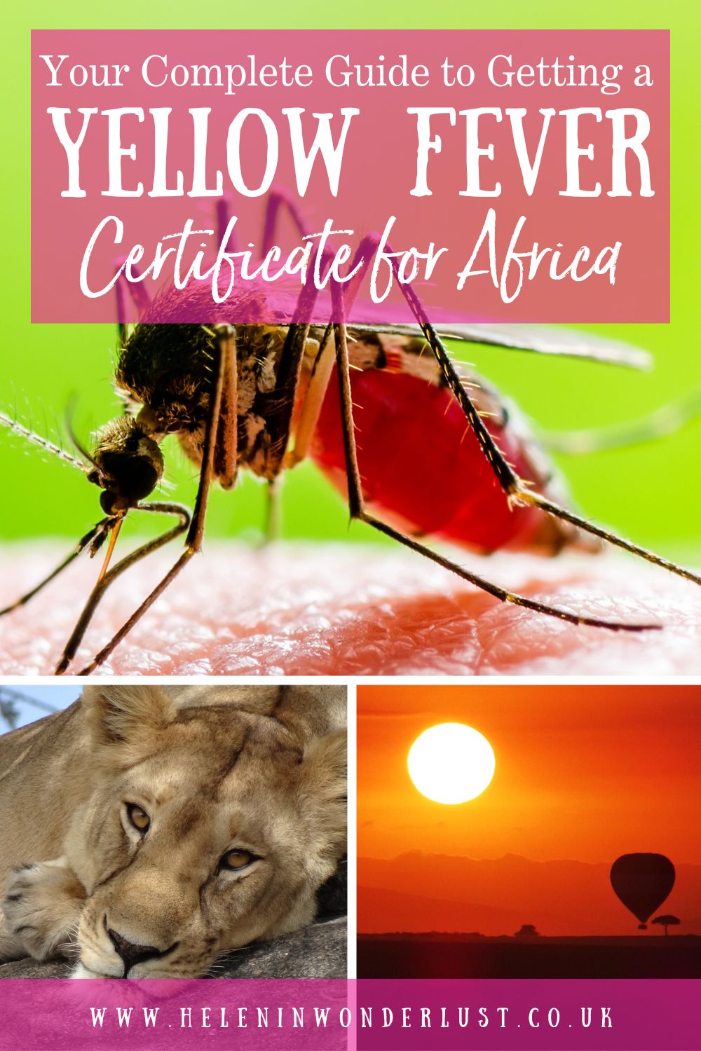 Your Complete Guide to Getting a Yellow Fever Certificate for Africa