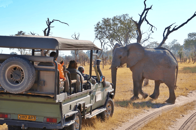 Khwai Concession & Moremi Game Reserve Botswana - Rock My Adventure Tours