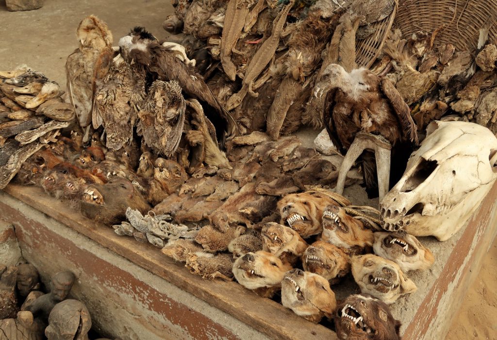 Fetish Market in Benin