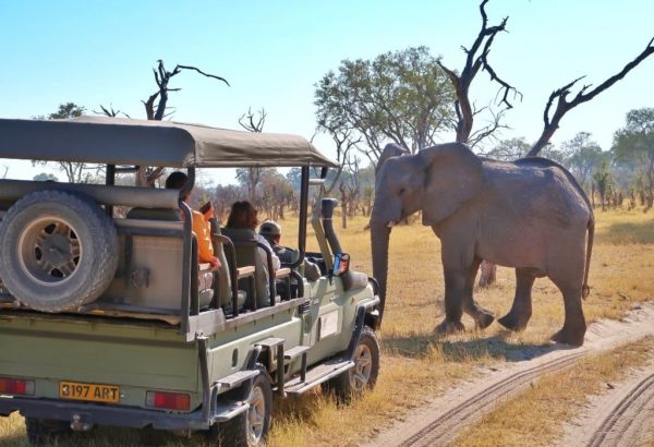 How to Visit Botswana on a Budget: Everything You Need to Know - Helen ...