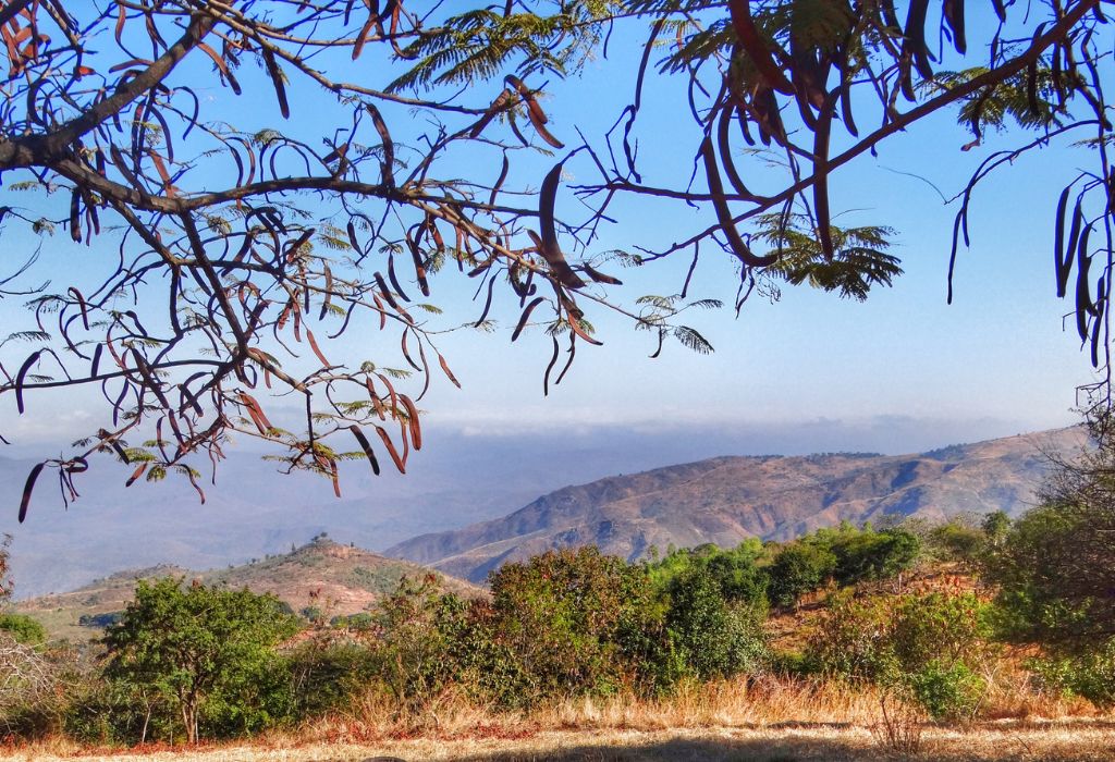 Mount Mulanje Malawi